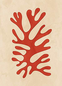 MATISSE 01A1