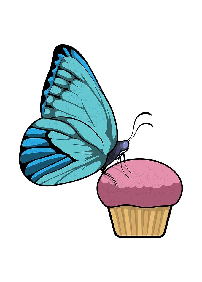 Butterfly Muffin