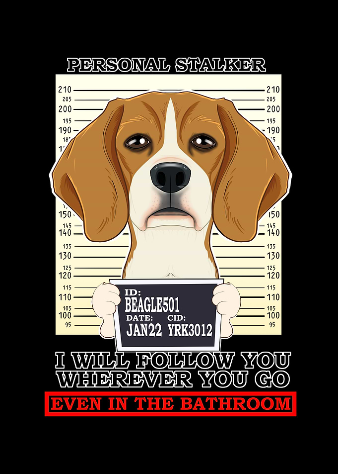 Personal Stalker Beagle
