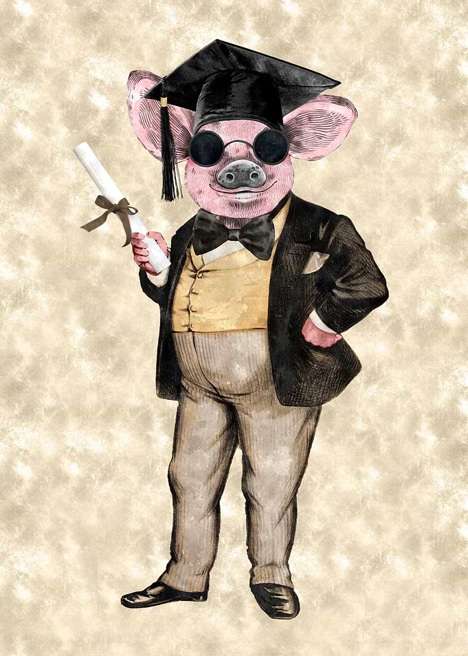 Hipster Graduate Hog Wild