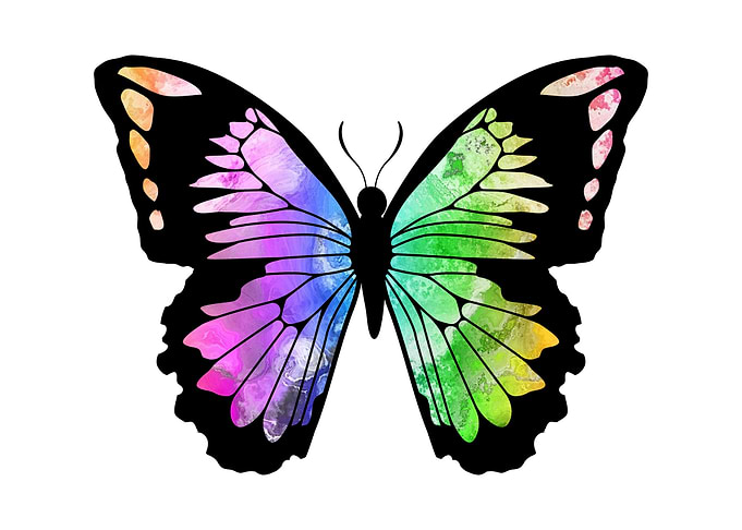 Butterfly Rainbow Colors
