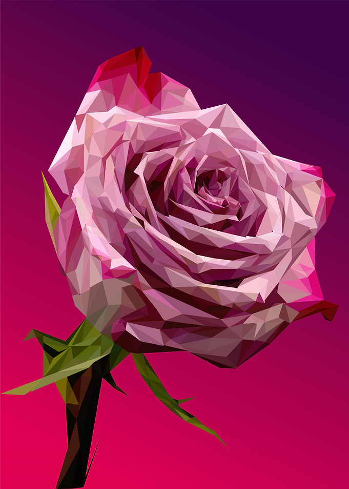 pink flower