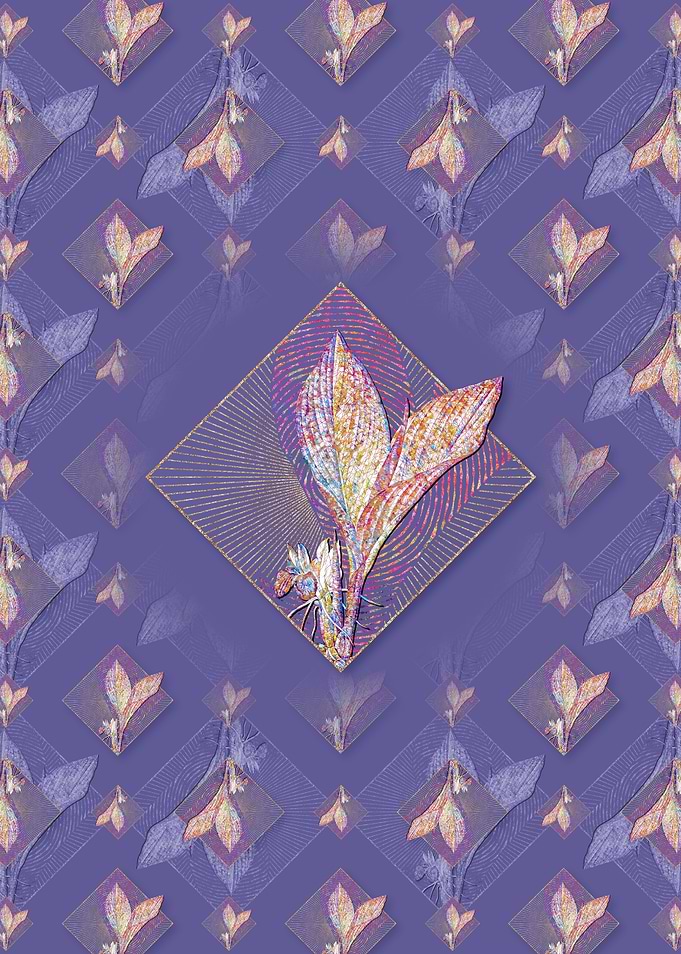 Koemferia Longa Pattern