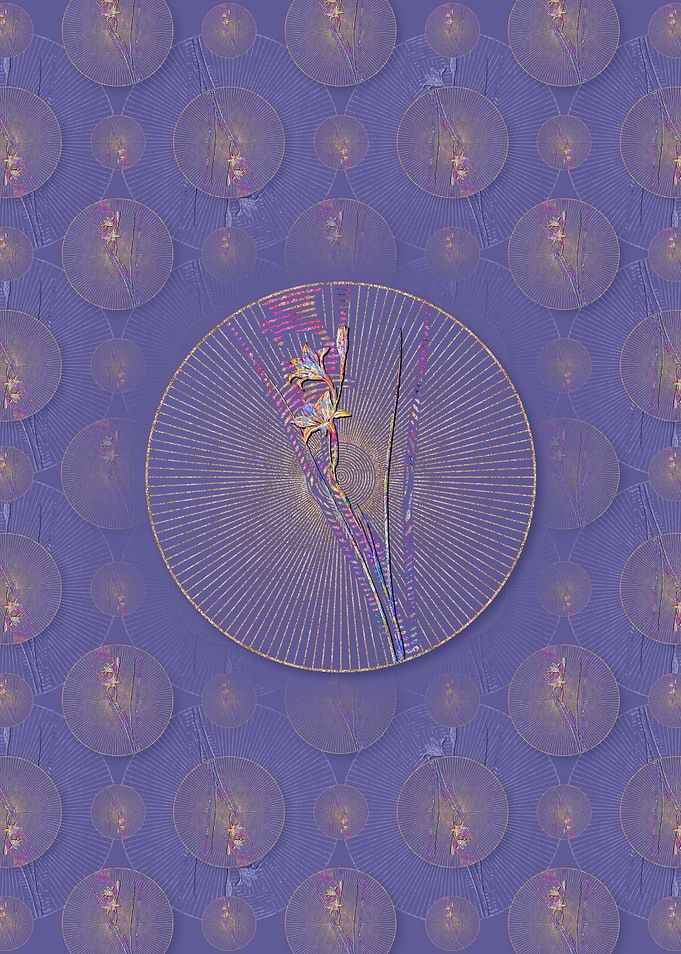 Gladiolus Pattern