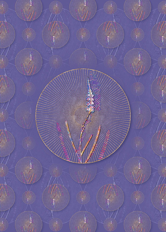 Ixia Cepacea Pattern