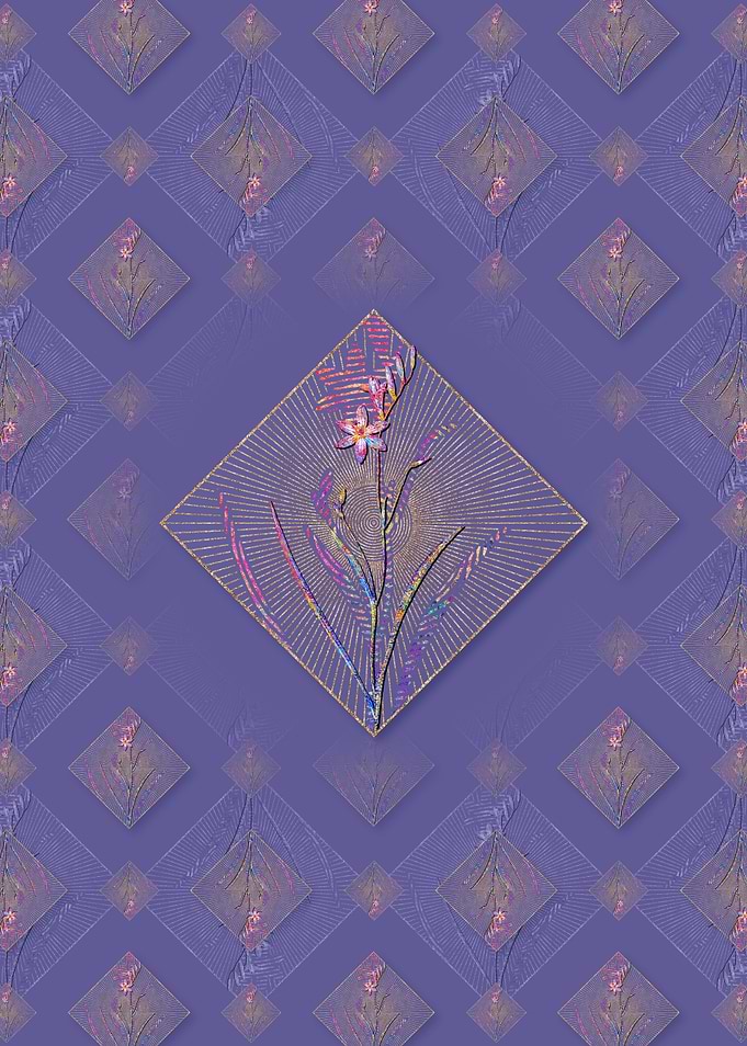 Ixia Secunda Pattern