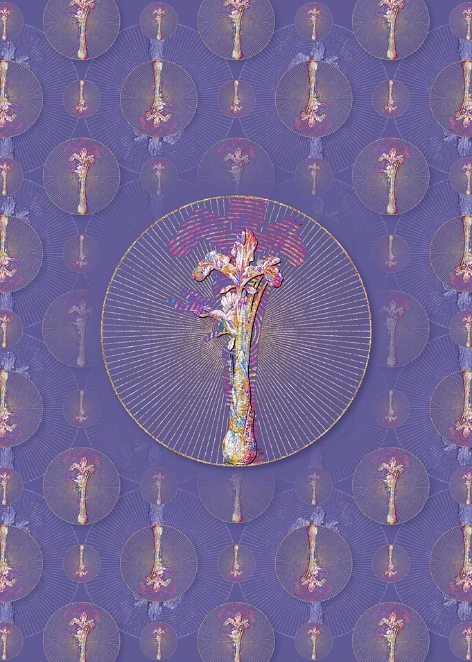 Iris Persica Pattern