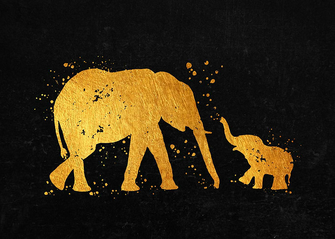 Elephant Family