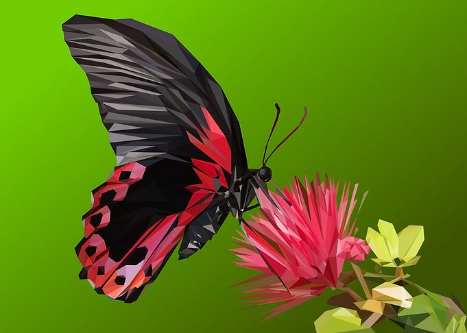 butterfly
