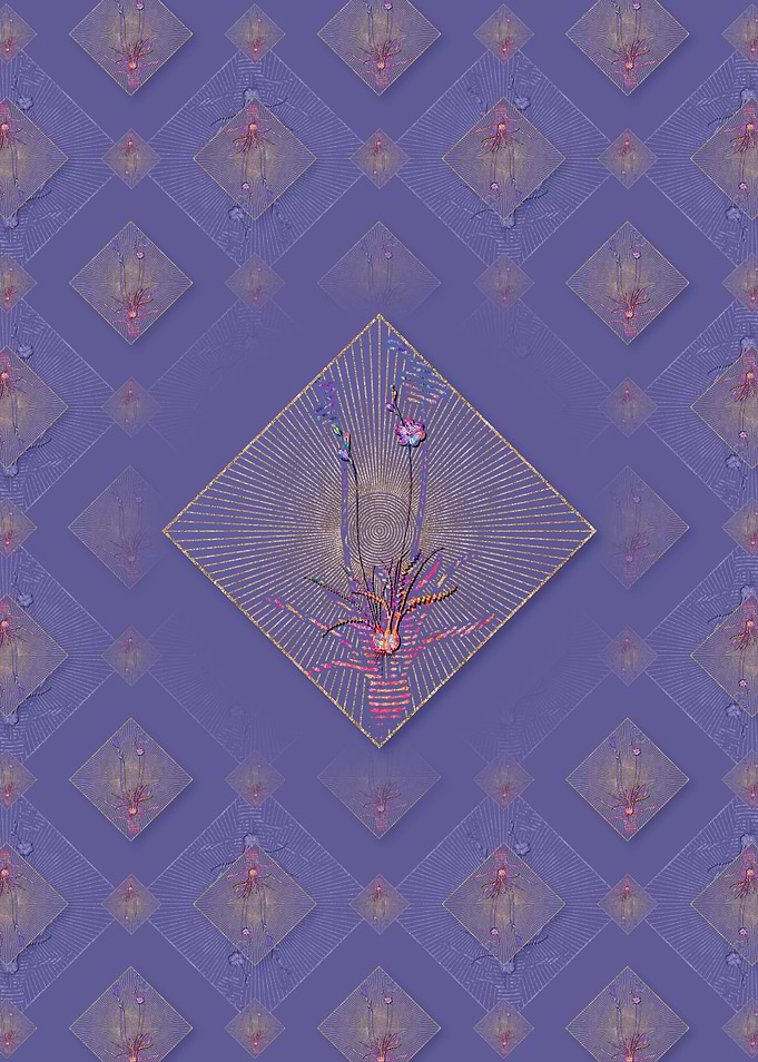 Ixia Crispa Pattern