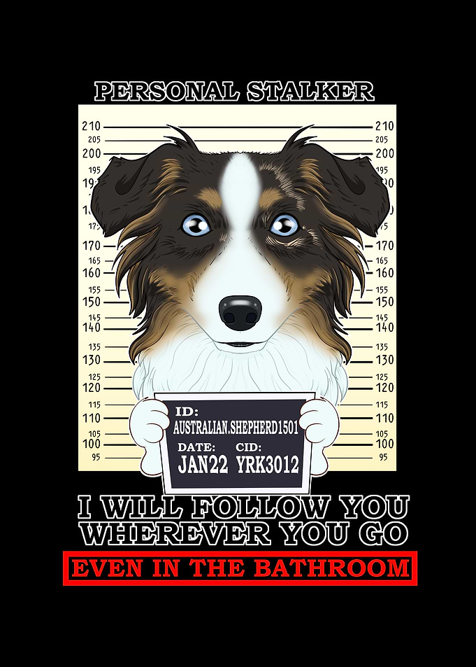 Australian Shepherd