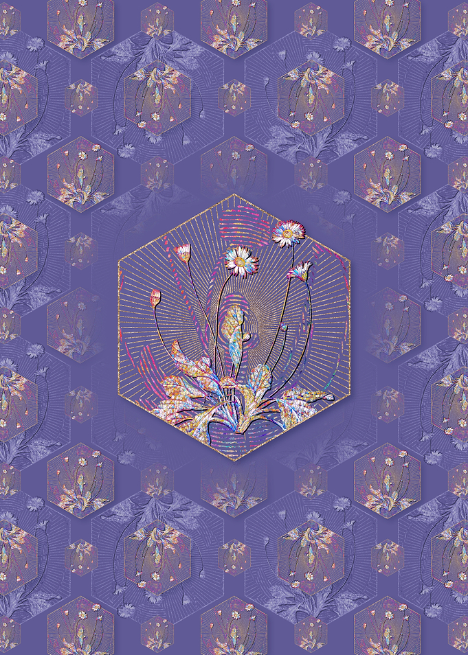 Daisy Flowers Pattern