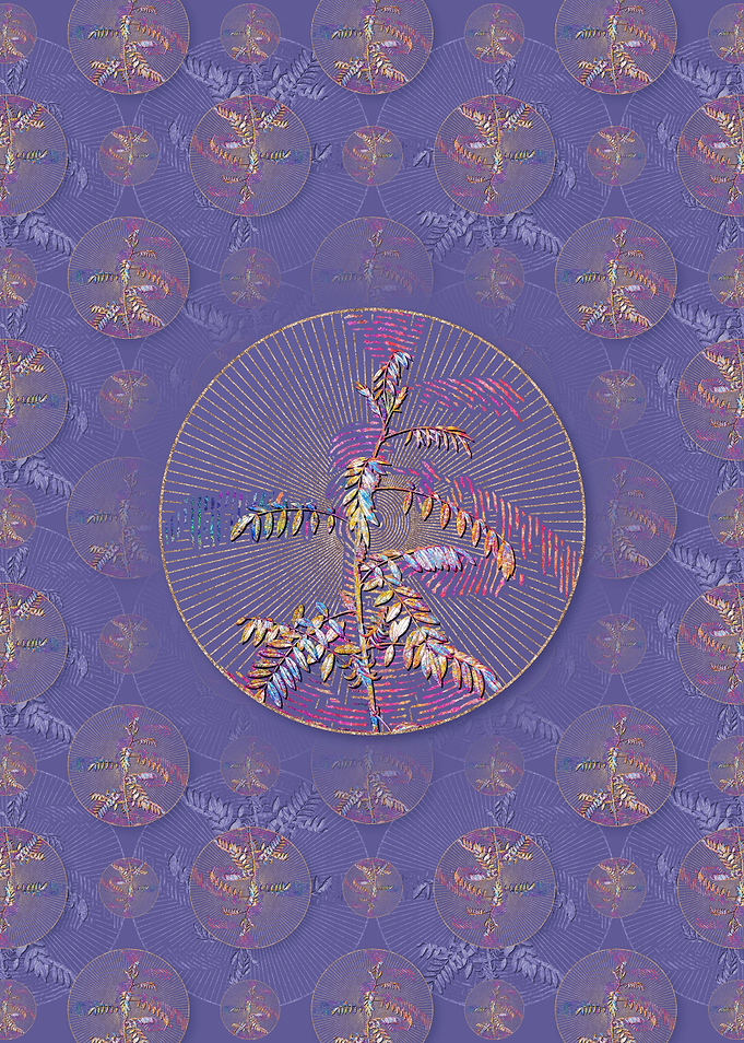 Flowering Indigo Plant