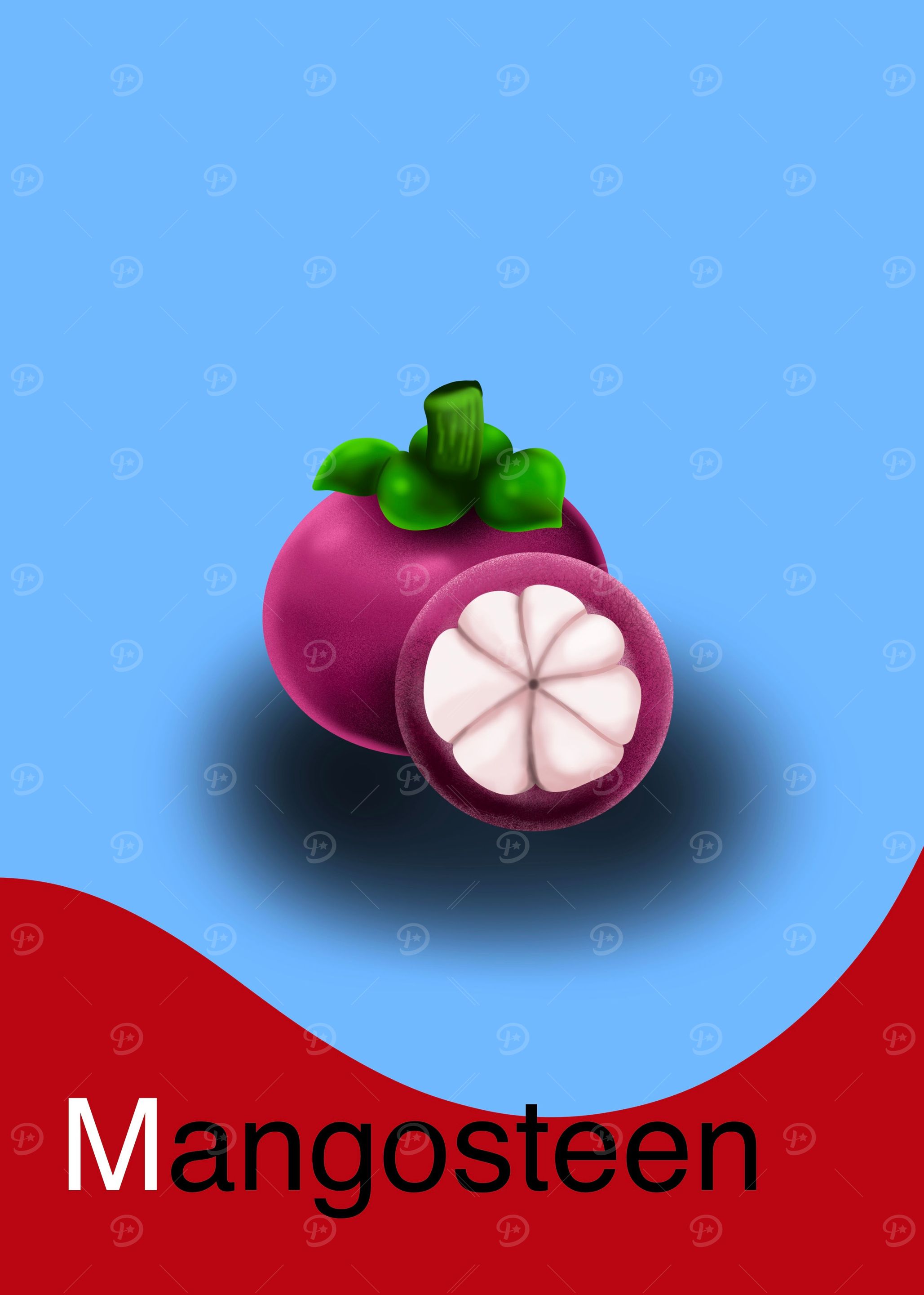 Mangosteen Paintings