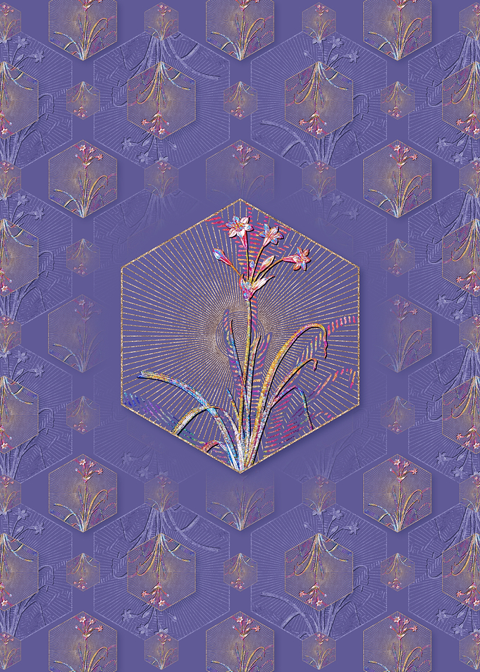 Crytanthus Vittatus Flower