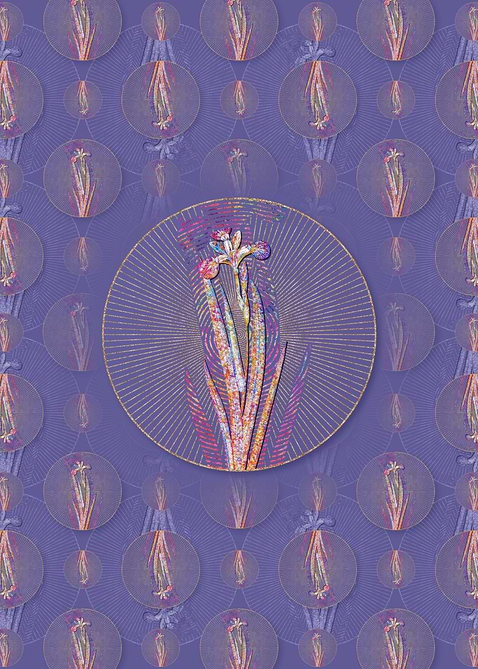 Harlequin Blueflag Pattern