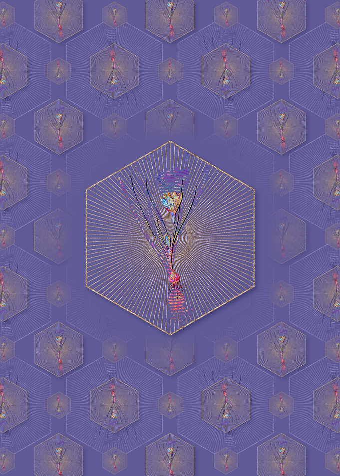 Ixia Filifolia Pattern