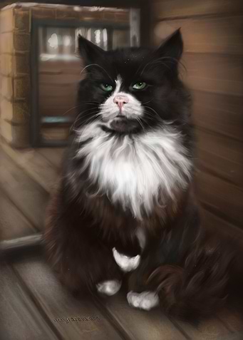 A Cat From Zelenogradsk