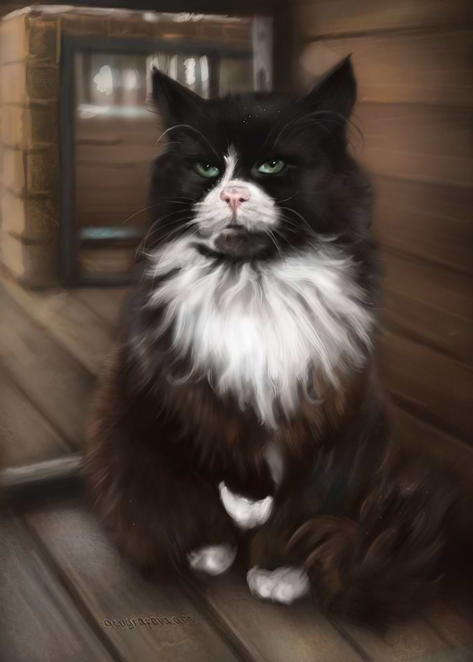 A Cat From Zelenogradsk
