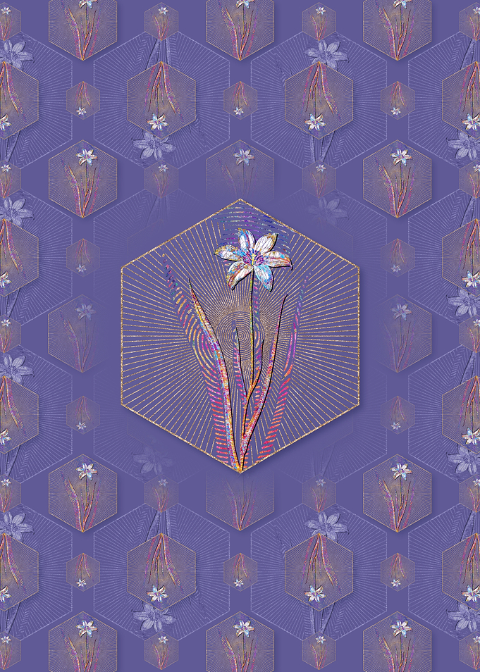 Lady Tulip 2 Pattern