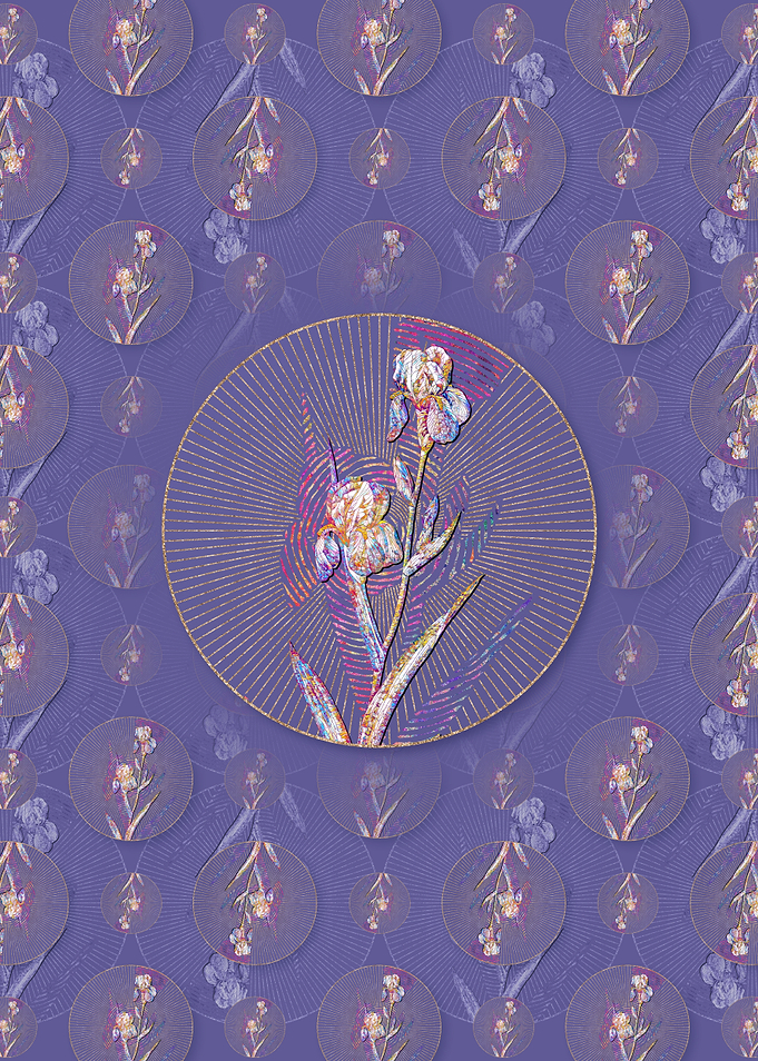 Elder Scented Iris Pattern