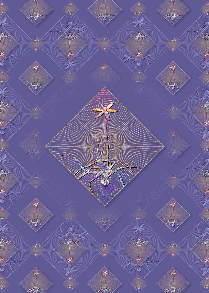 Hypoxis Stellata Pattern