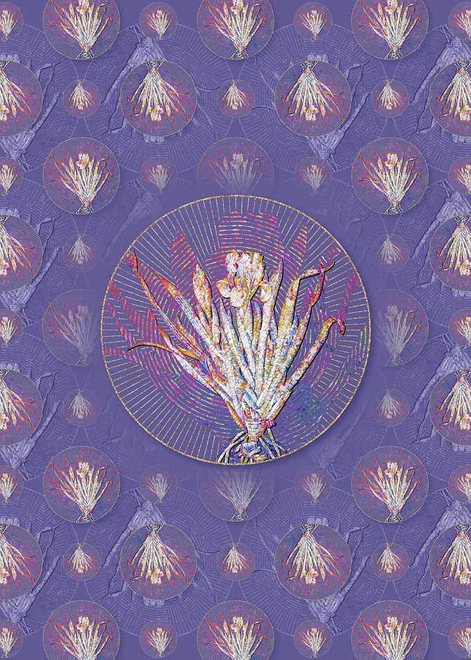 Crimean Iris Pattern