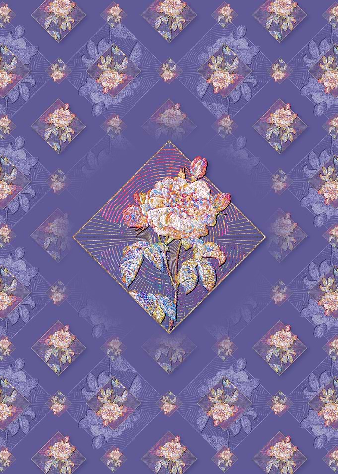 Duchess of Orleans Rose