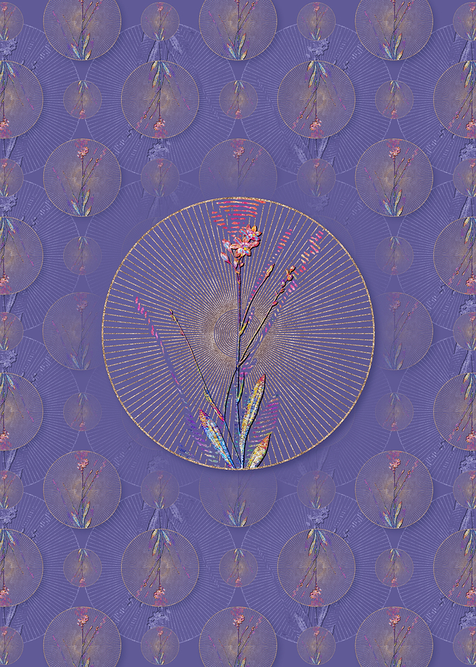 Gladiolus Junceus Pattern
