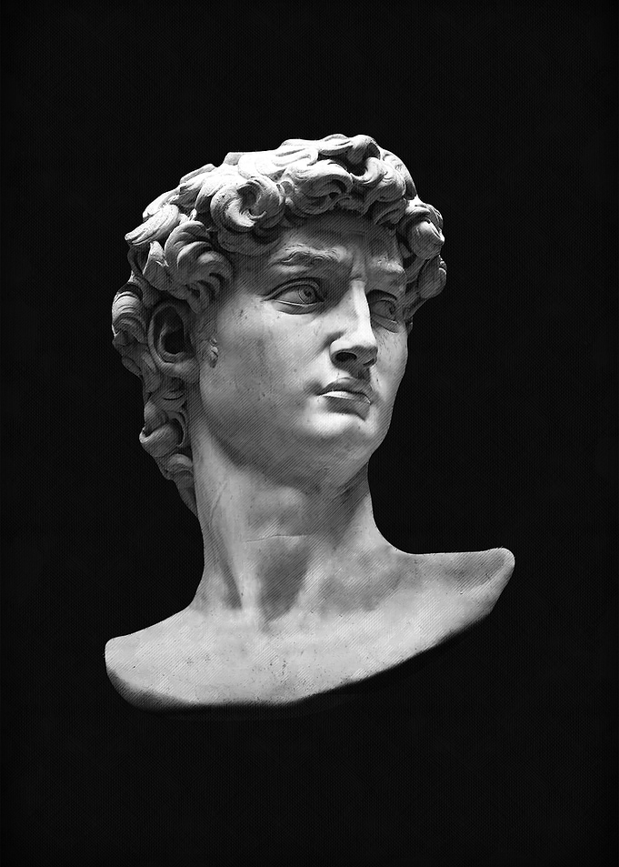 David Portrait