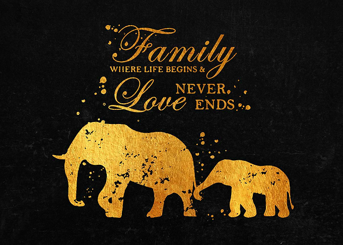 Elephant Family