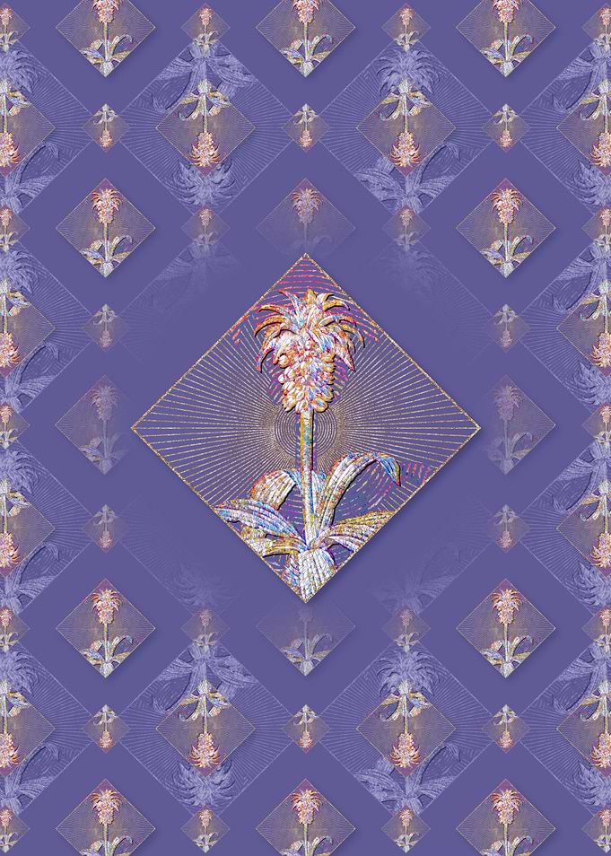 Eucomis Regia Pattern