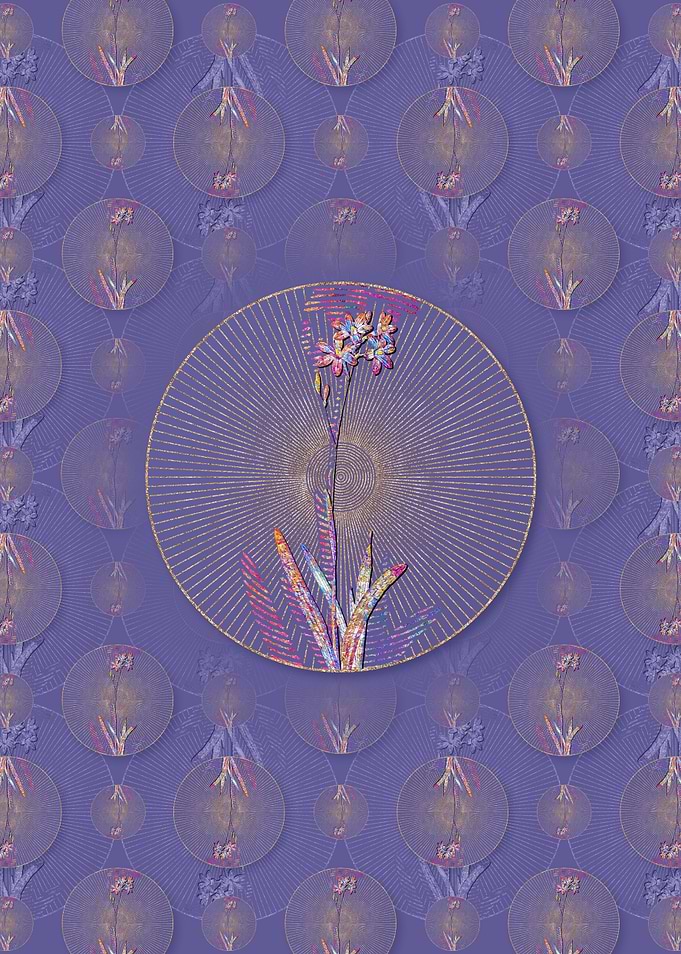 Corn Lily Pattern