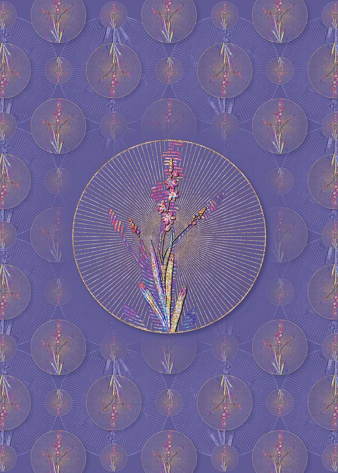 Ixia Scillaris Pattern