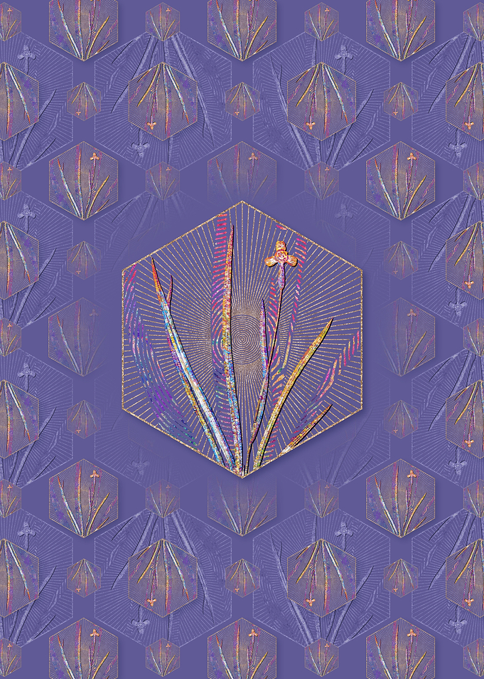 Iris Martinicensis Pattern