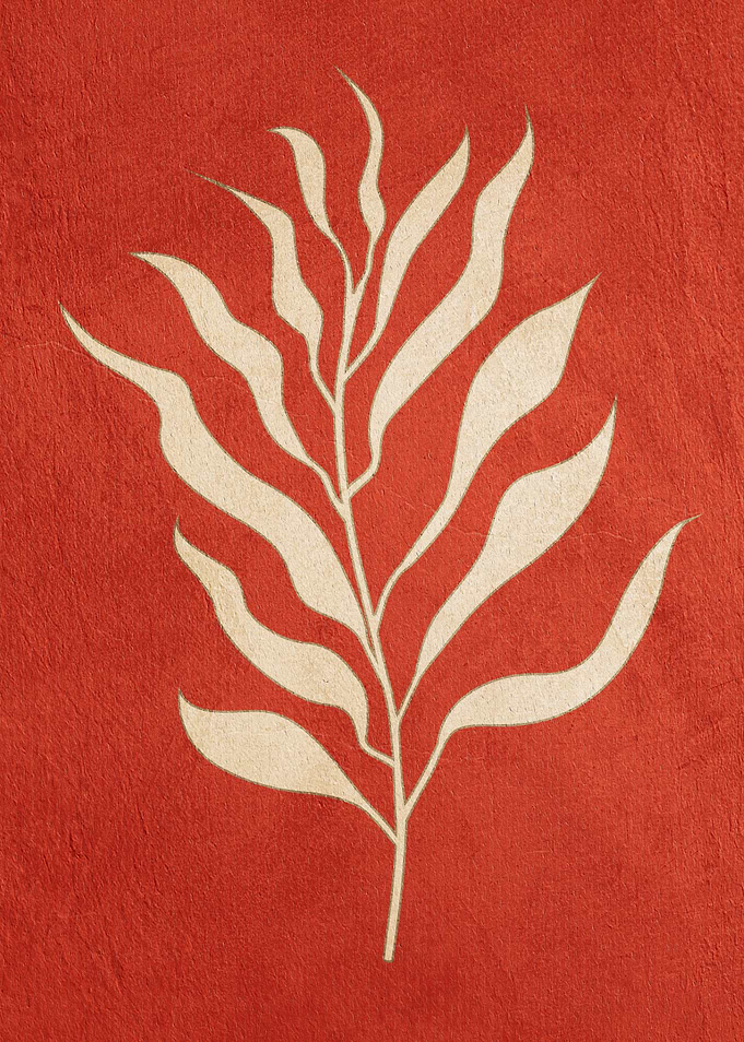 MATISSE 02B