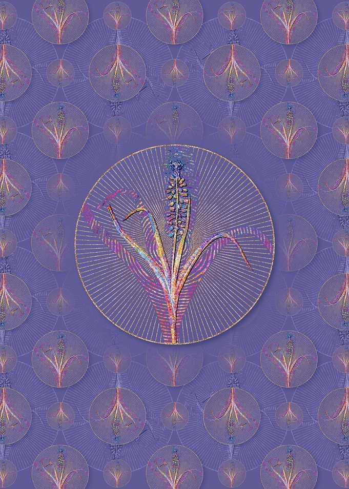 Grape Hyacinth Pattern