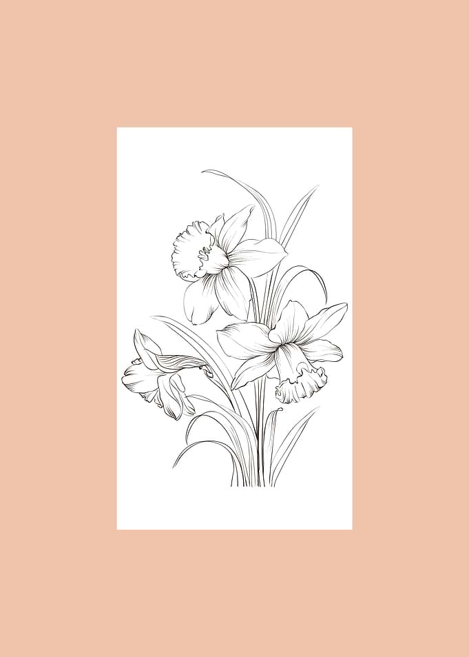 Narcissus Flower