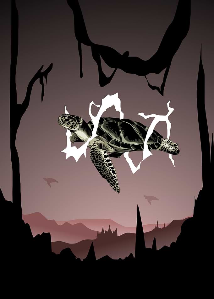 the flying turtle