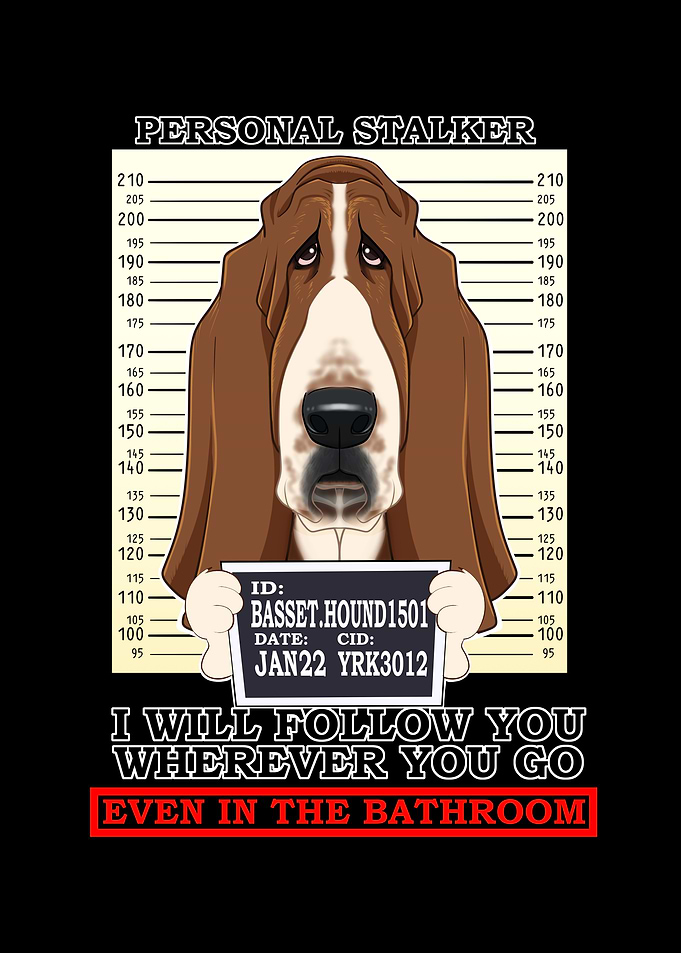 Basset Hound Stalker