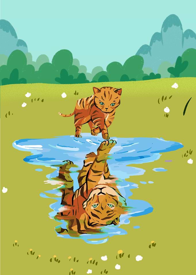 Cat reflect Tiger Forest