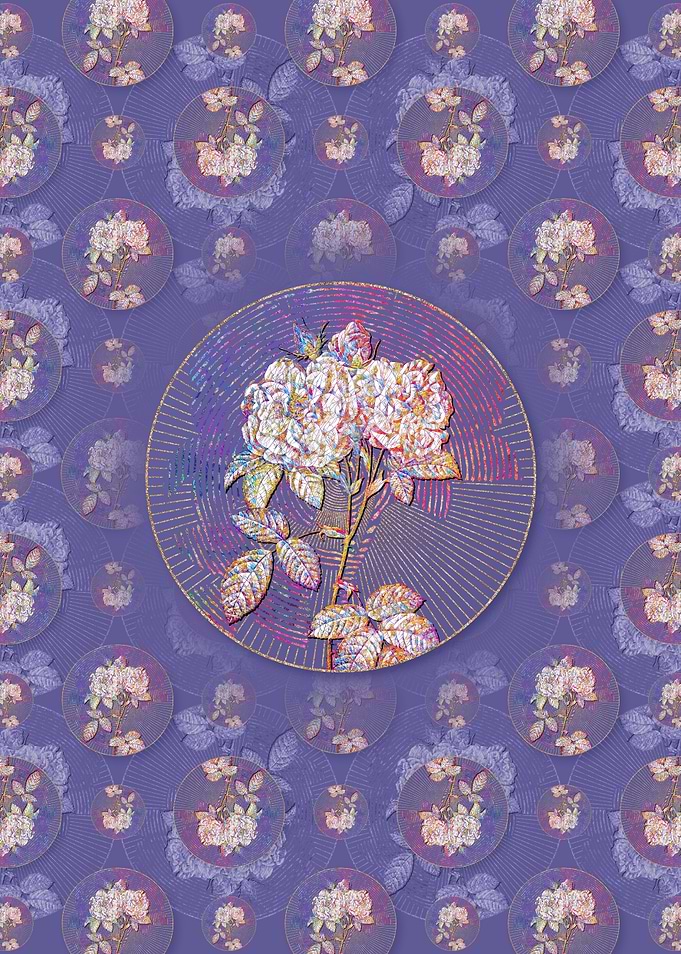 Italian Damask Rose Flower