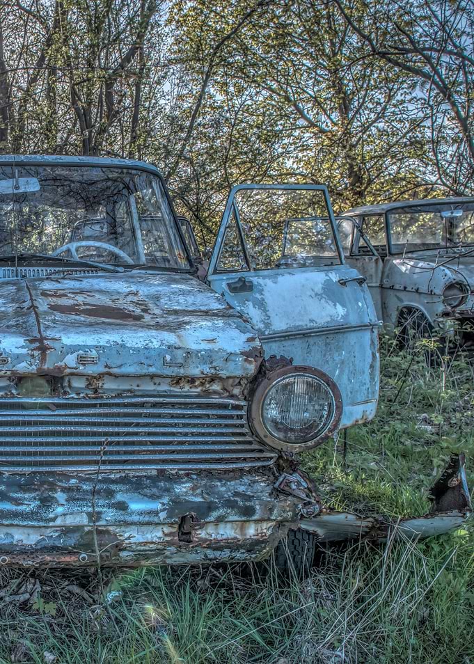 Abandoned grass vehicle