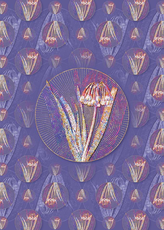Knysna Lily Pattern