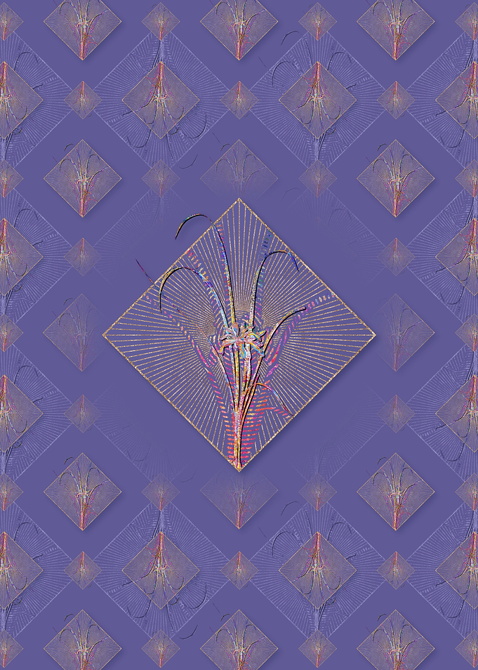 Grass Leaved Iris Pattern
