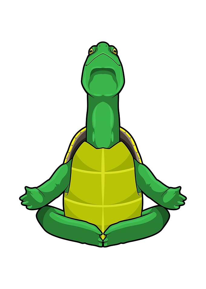 Turtle Yoga Meditaion