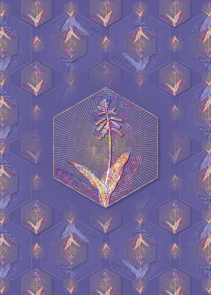 Lachenalia Pendula Pattern