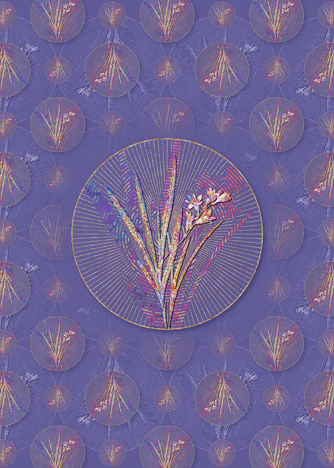 Gladiolus Xanthospilus