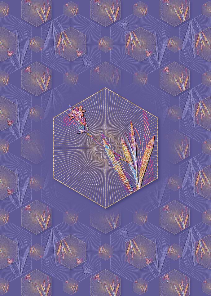 Gladiolus Mucronatus