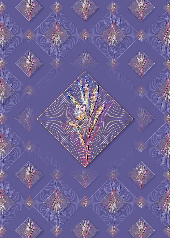 Fritillaria Latifolia